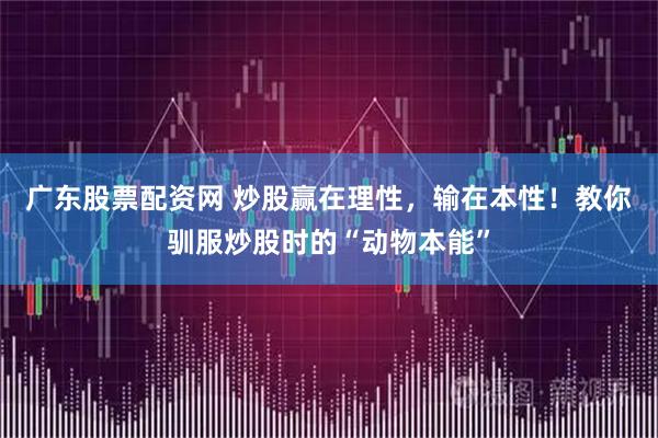 广东股票配资网 炒股赢在理性，输在本性！教你驯服炒股时的“动物本能”
